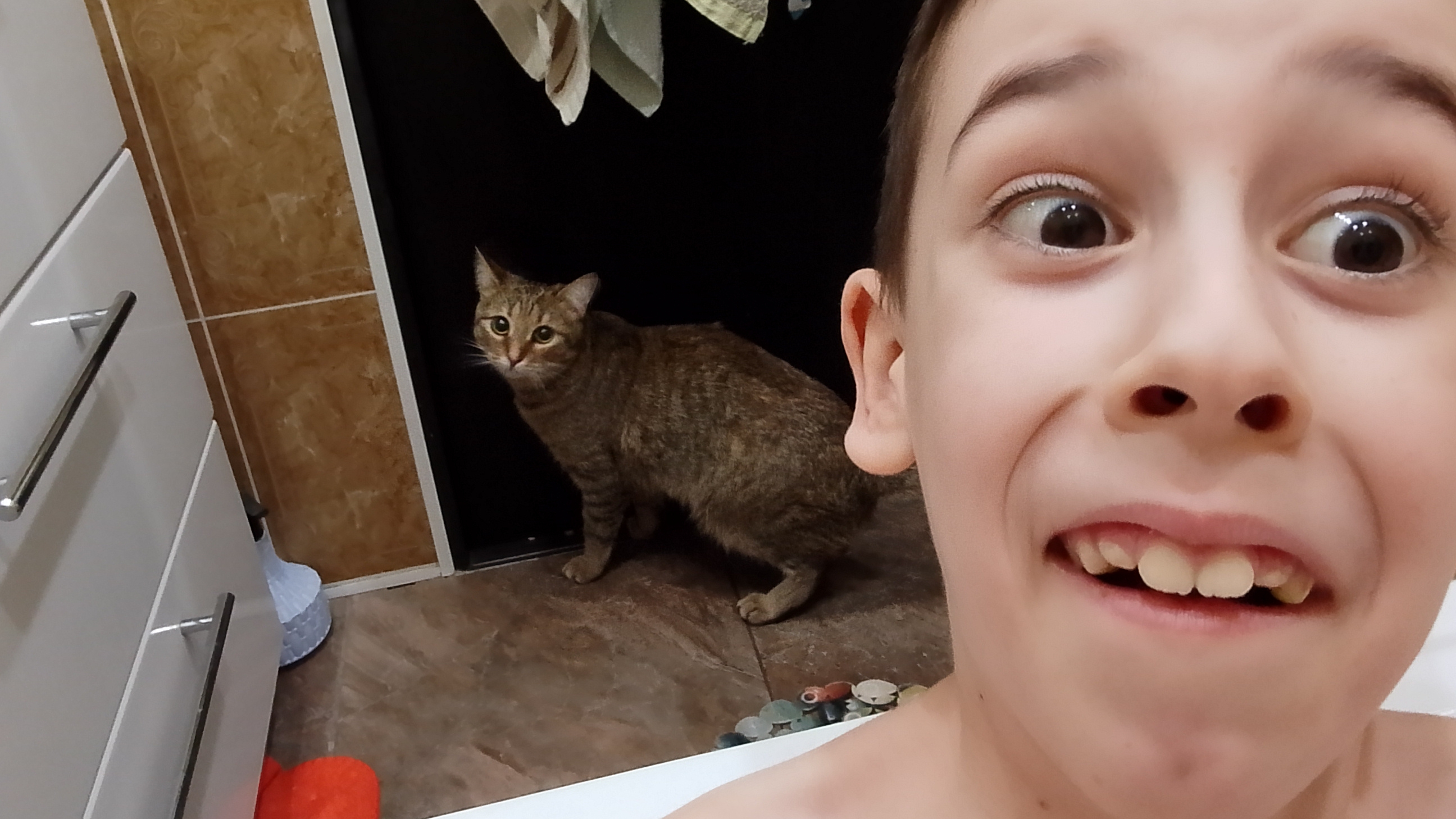 Это Делает Кошка Если Ты С Кошкой В ВАННОЙ!