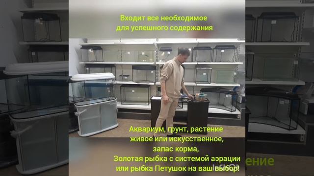 Круглый аквариум комплект с маленькой Золотой рыбкой или Петушком