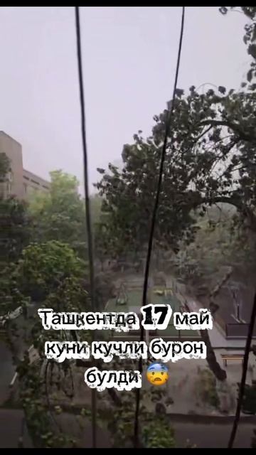 Тошкентда 17 май куни кучли бурон булди 😨