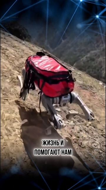 робот помогает людям