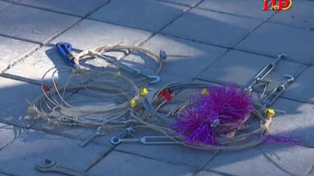 В столице начали устанавливать главную елку страны