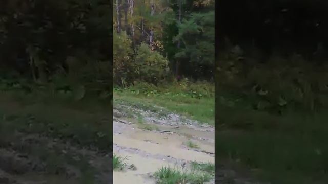 Кусочек дороги на Шунут 18+