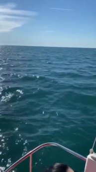 День Рождения на яхте Хаммер Hummer