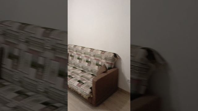 1000646910.mp4
