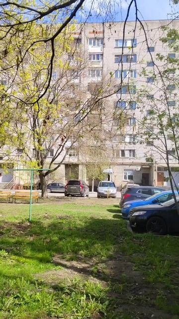 Дом, двор.mp4