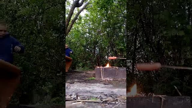 сосиски на природе