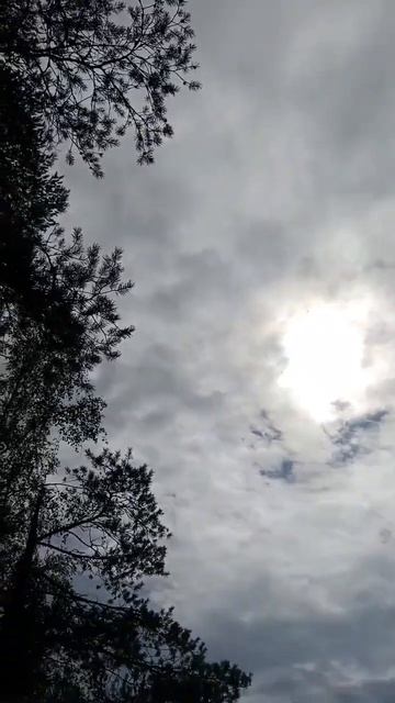 гуляем по водопаду Кивач