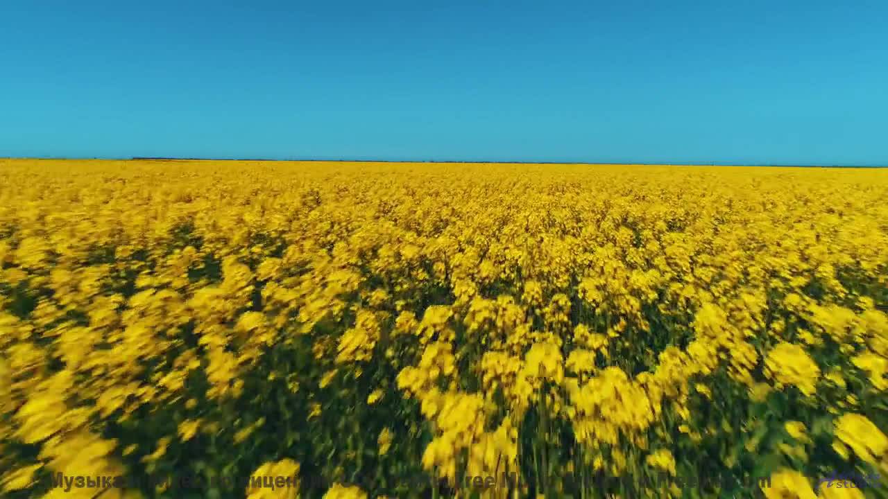 Когда природа и музыка лечат лучше любого психолога! - Reminders -- Ketsa -- Vitality