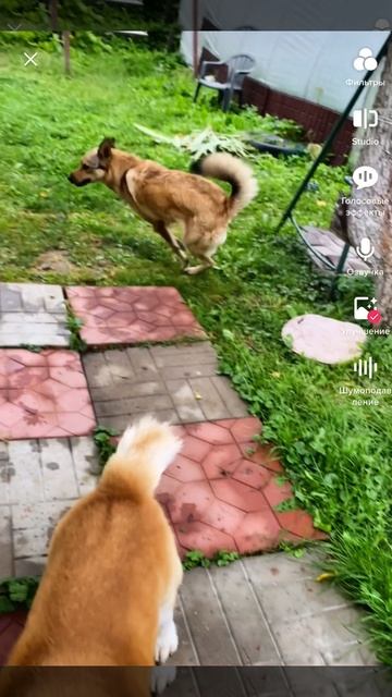 Каждое утро