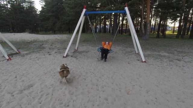 Приехали посмотреть Сясьстрой, парк-пляж «Сосновый бор»