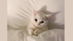 я не знаю что делать