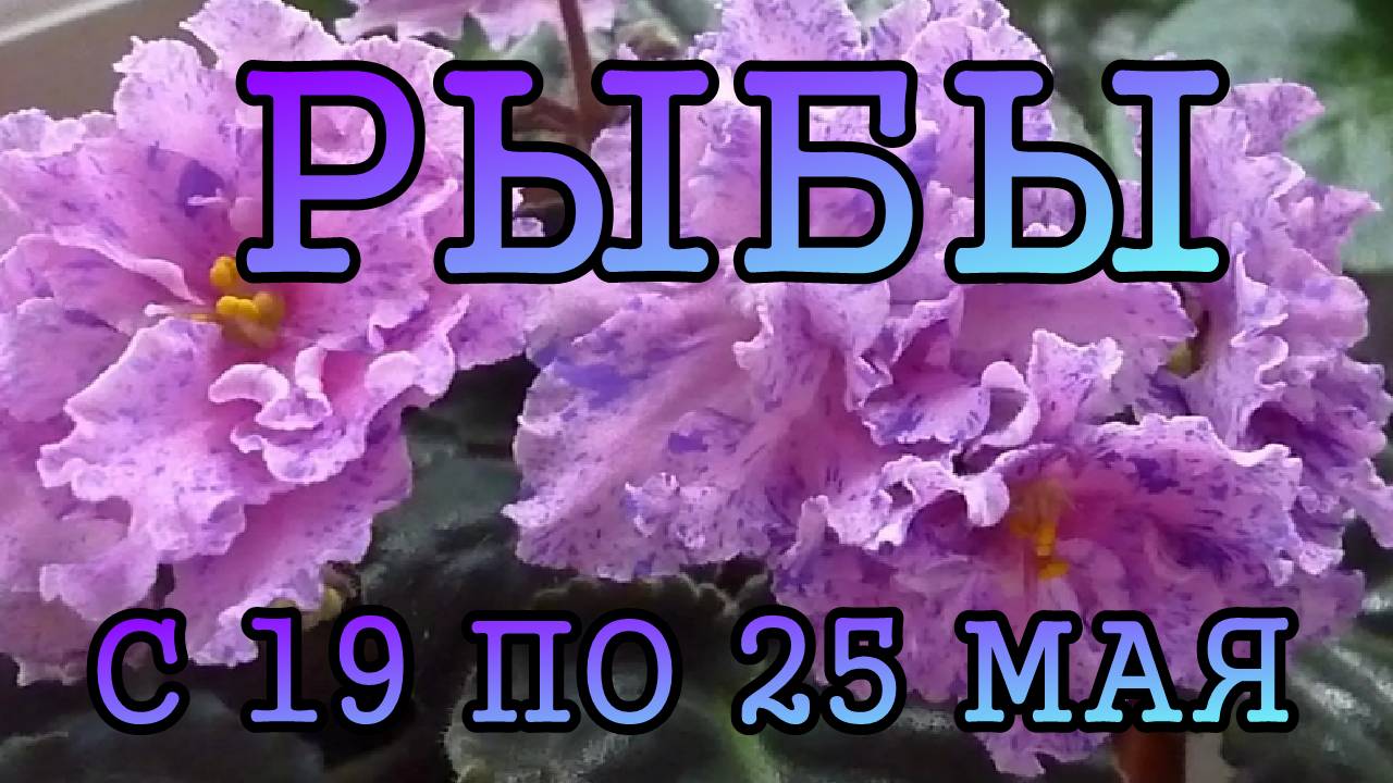 РЫБЫ таро прогноз на неделю с 19 по 25 МАЯ 2025 года.