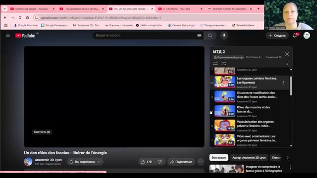 Подвздошно-копчиковая мышца. Анатомия. Мышцы тазовой диафрагмы.