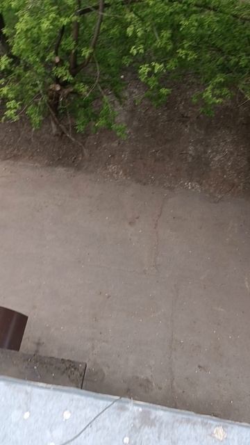 вот как у меня в краю родном
