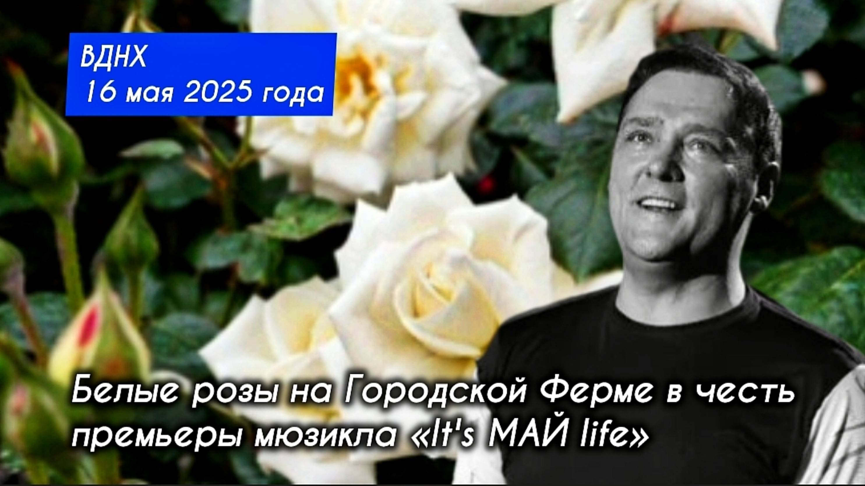 высадка белых роз на городской ферме ВДНХ в честь премьеры мюзикла «It's МАЙ life» 16 мая 2025 года