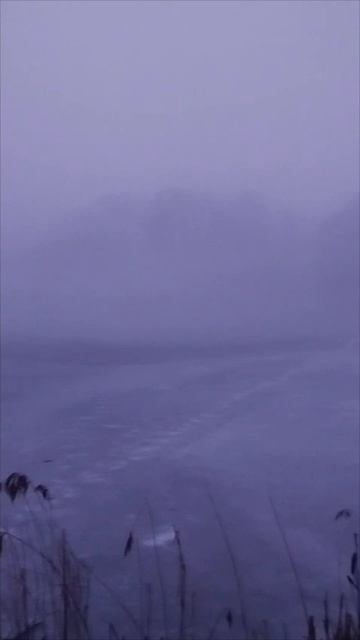 Прекрасное утро