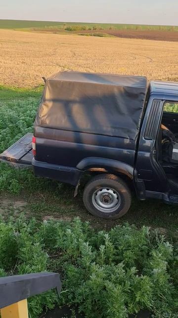 Голодный Лис.
