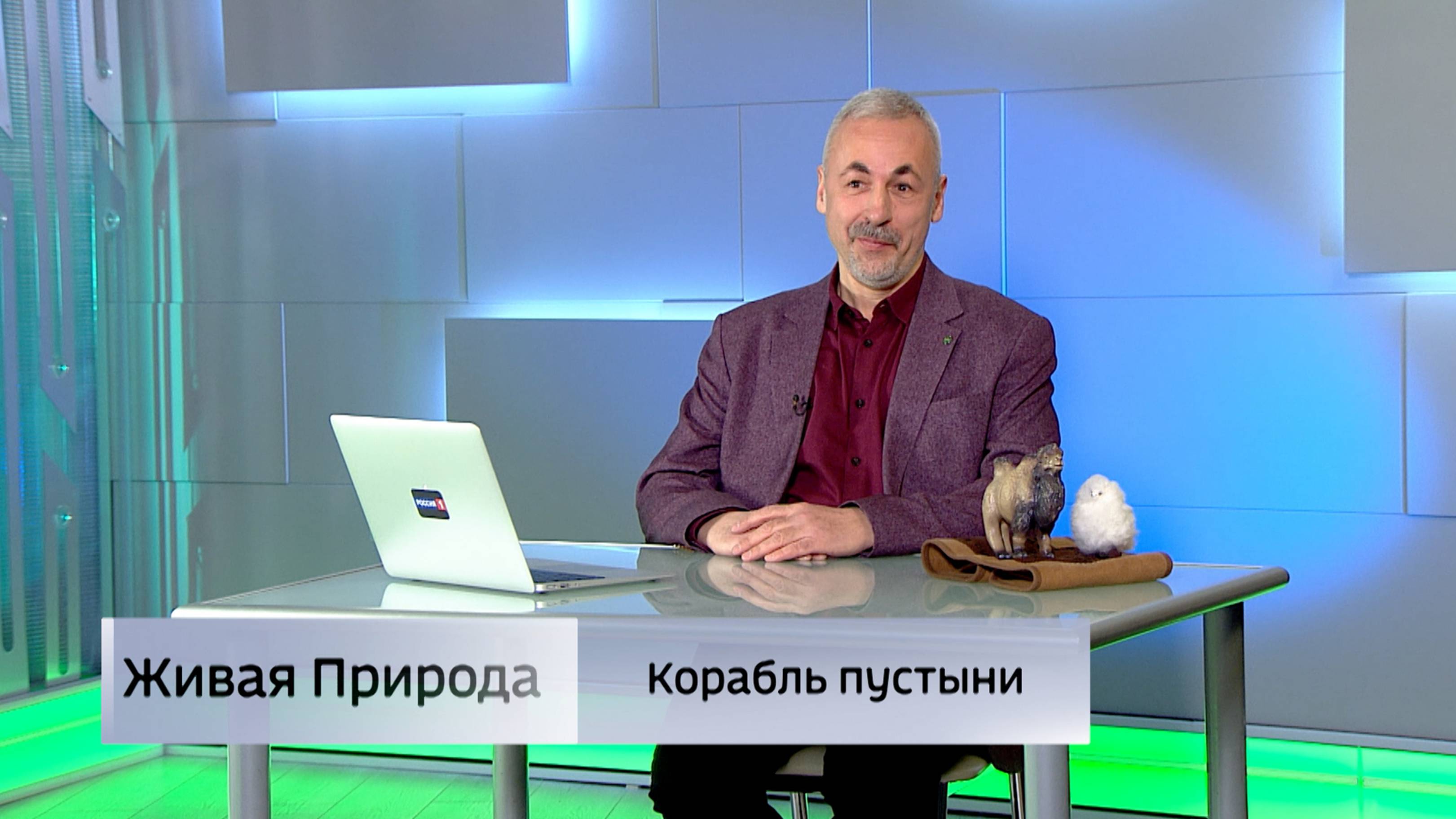 Живая природа. "Корабль пустыни"