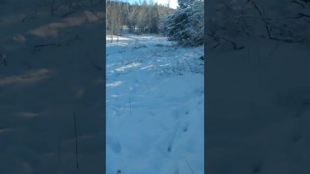 тайга. висячий камень.