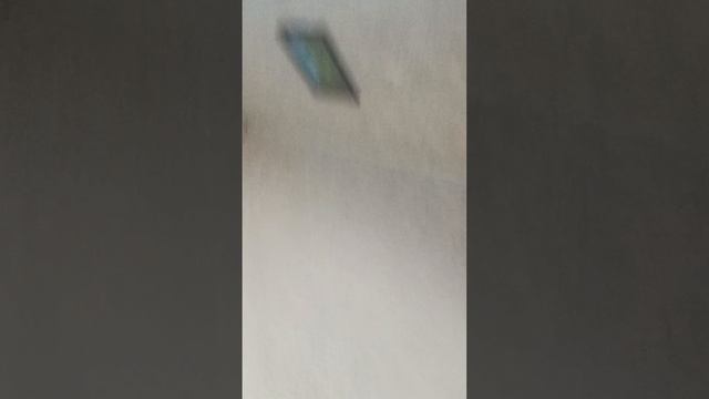 1000005350.mp4