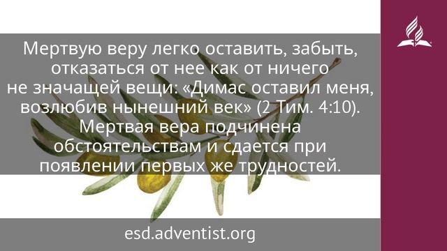 18 мая 2025. Побеждающая вера. Под сенью благодати _ Адвентисты