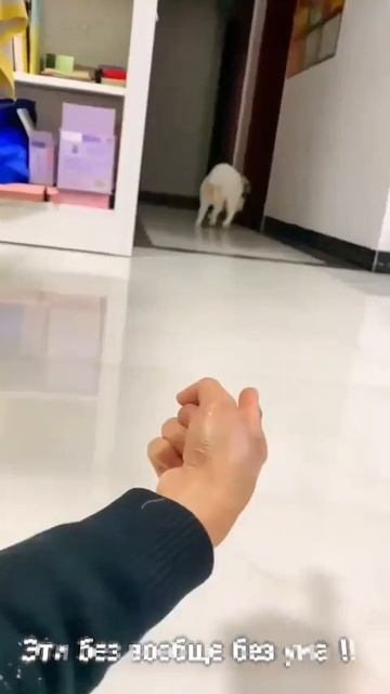 Разгадка Века