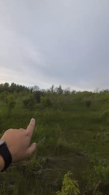 VID-20250517-WA0009
