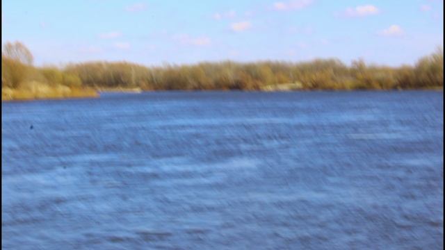 Наблюдение за природой.04.04.2025.