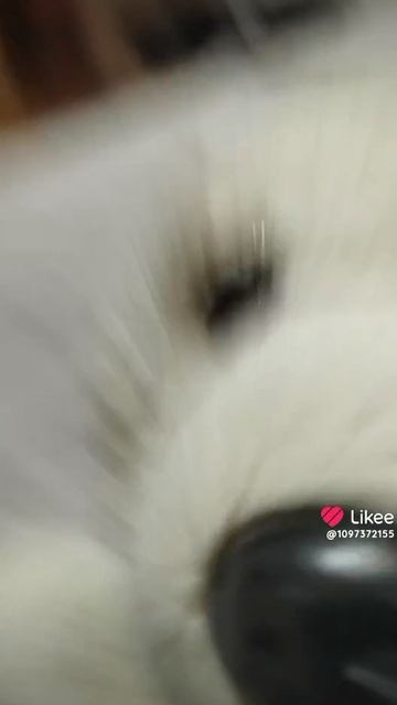 танцуй 2