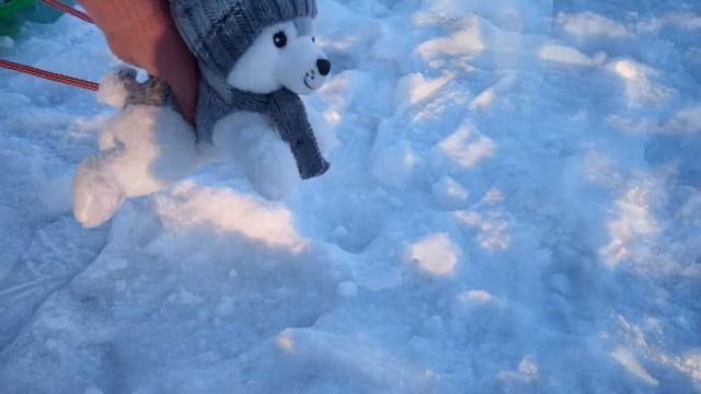 Играем в снежки!!! Супер встреча с рыжиком!!!