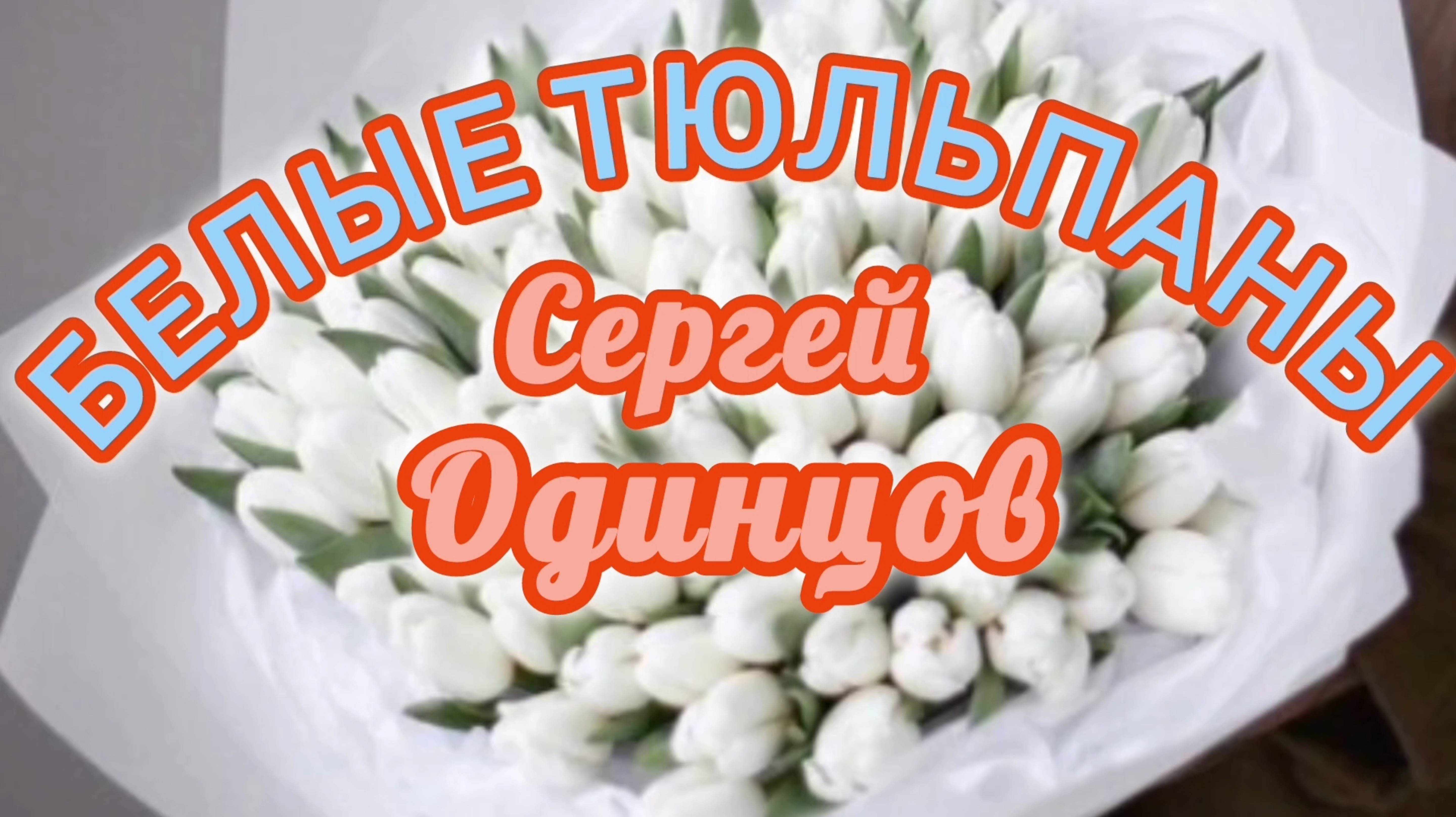 БЕЛЫЕ ТЮЛЬПАНЫ. // СЕРГЕЙ ОДИНЦОВ.
