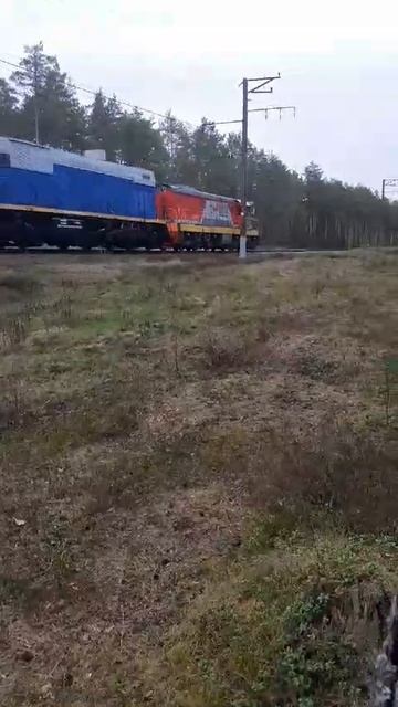 ЧМЭ3 с товарным поездом