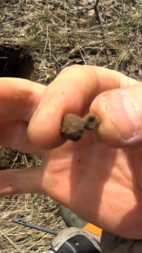 ПУГОВИЦА ГИРЬКА МЕЛЕНЬКАЯ  #клад #копатель #коп #metaldetecting #находки #металлоискатель