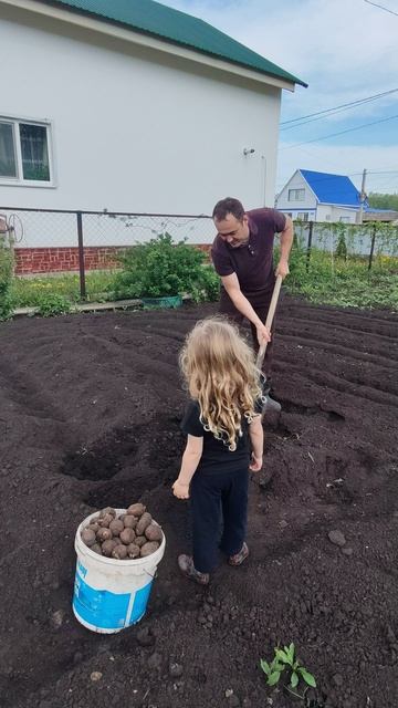 Приучаем Лилианку к труду. Сохраняем традиции, 😇😇😇.