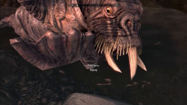 Skyrim. Хоркер...