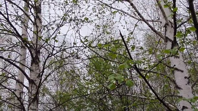 Вода ни как не уходит