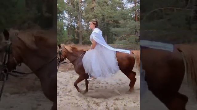 Прокат коней, фото відео - зйомка