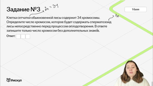 Задание 3 за 40 минут | Биология ЕГЭ для 10 класса | Умскул