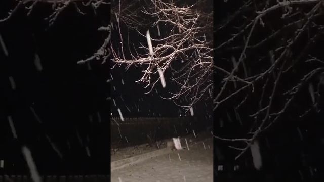 Ну хоть в январе чуть снег выпал.
