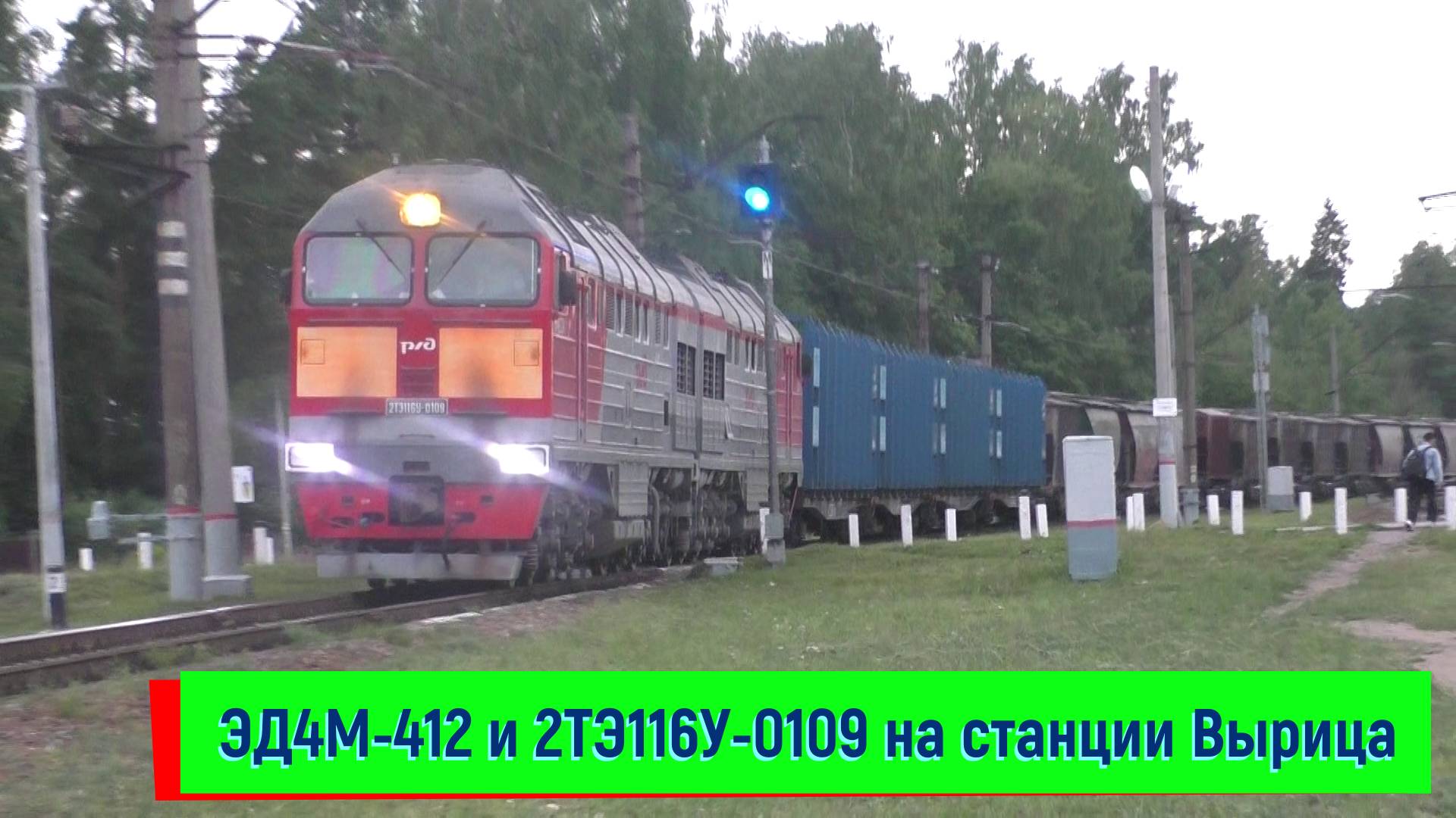 Электропоезд ЭД4М-0412 и тепловоз 2ТЭ116У-0109 с грузовым на станции Вырица