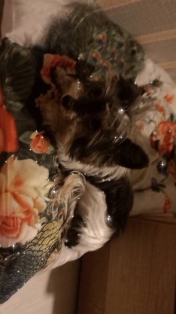 😍🥰😊