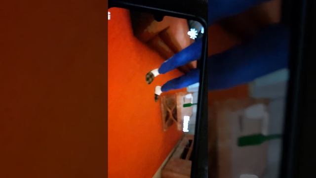 Ромогите мне почему эта одежда такой злой