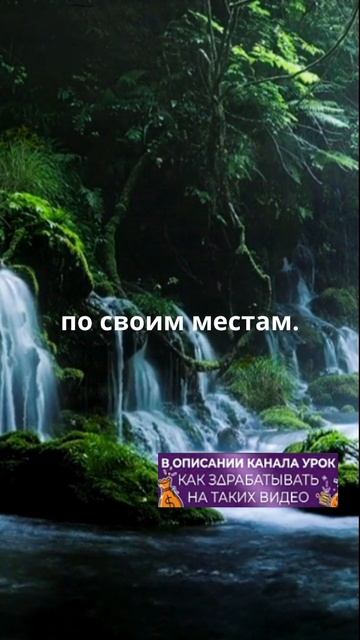 Позвольте жизни быть!