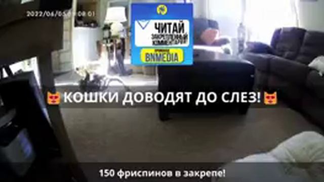 приколы