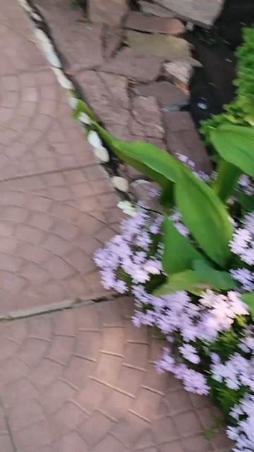 Для тех, кто не может поехать на природу, послушайте этот хор