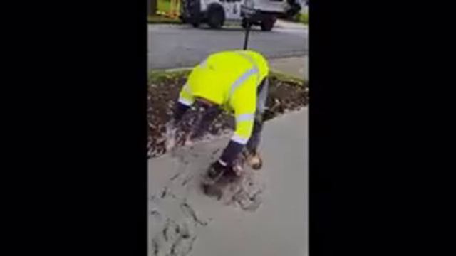 приколы