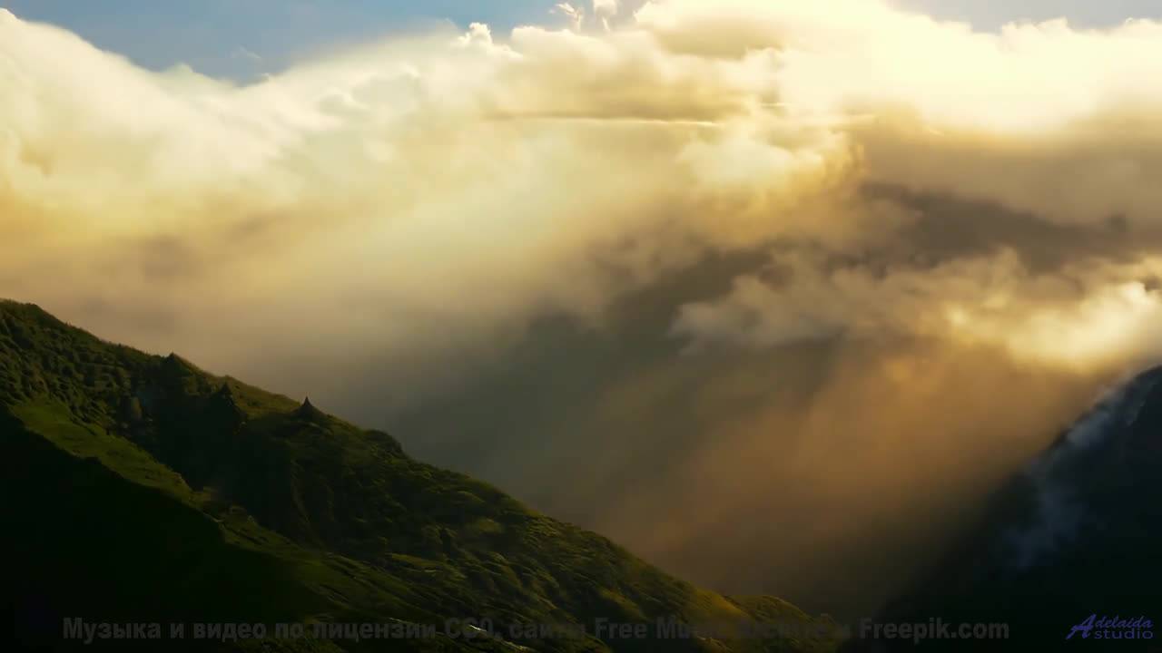 Почему это видео вызывает такие сильные эмоции - Stages Of Awakening -- Podington Bear -- Said Lion