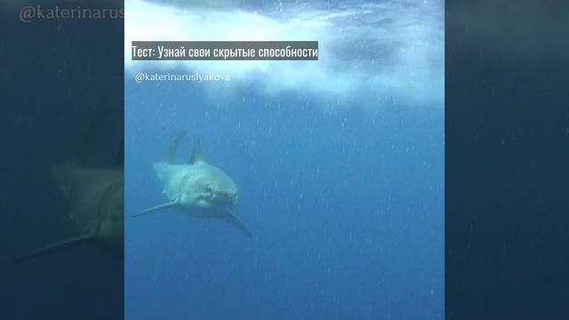 Тест: Узнай свои скрытые возможности