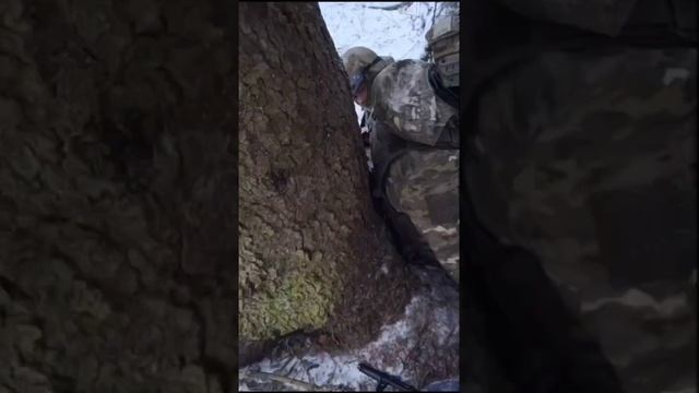 Курс по тактической медицине !!!