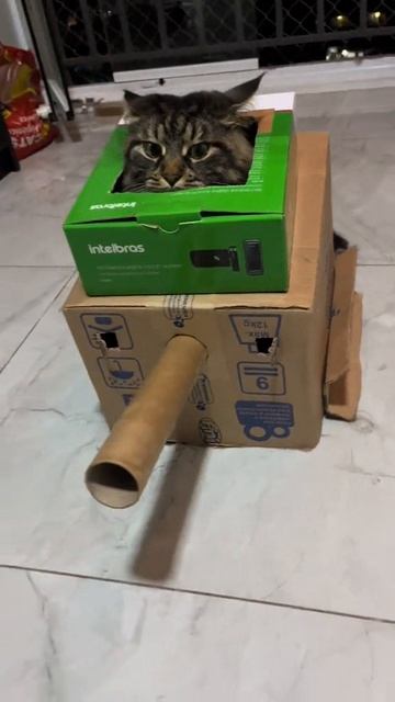 Кото танк